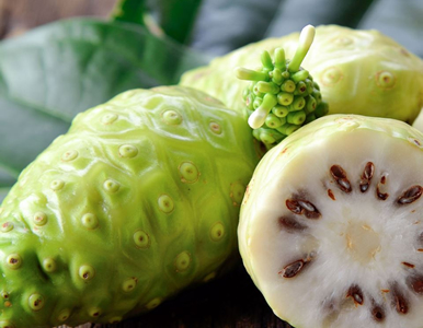 Hướng Dẫn Tạo Không Gian Bạn Không Bao Giờ Muốn Bỏ Lỡ